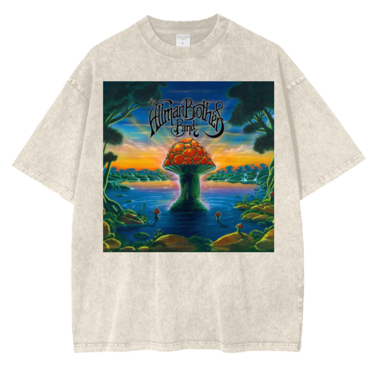 Allman Brothers Band Acid Wash Oversized T-Shirt. Where It All Began Album Cover.